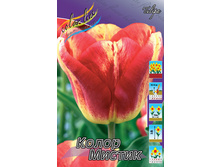 Tulipa Colour Mystic 108,7�. �� 10��.jpg