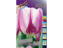 Tulipa Flaming Flag 83,1�. �� 10��.jpg