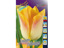 Tulipa Golden Dynasty 78�. �� 10��.jpg