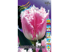 Tulipa Huis Ten Bosch 108,7�. �� 10��.jpg