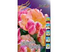Tulipa Libretto Parrot 94,4�. �� 10��.jpg