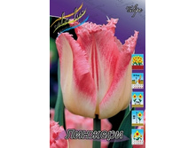 Tulipa Lingerie 175,1�. �� 10��.jpg