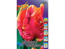 Tulipa Monarch Parrot 124�. �� 10��.jpg