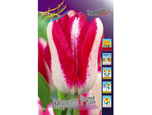 Tulipa Moulin Rouge 118,9�. �� 10��.jpg