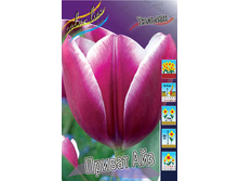 Tulipa Private Eyes 124�. �� 10��.jpg