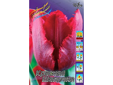 Tulipa Red Hat 118,9�. �� 10��.jpg