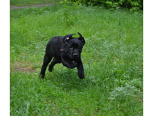 DSC_2265.JPG