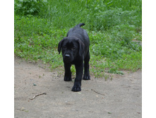 DSC_2275.JPG