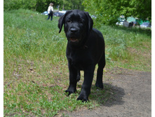 DSC_2321.JPG