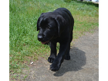 DSC_2329.JPG