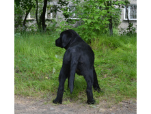 DSC_2330.JPG