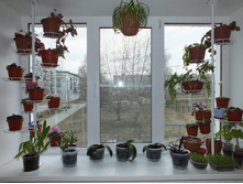 DSCF1955.JPG