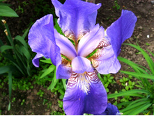S73R4486.JPG