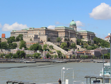 IMG_5391.jpg