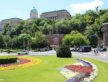 IMG_5715.jpg