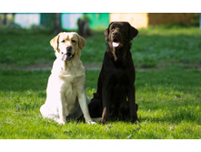 20130512-_DSC0228.jpg