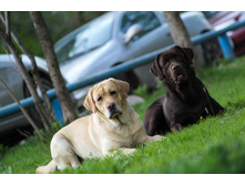 20130512-_DSC0252.jpg