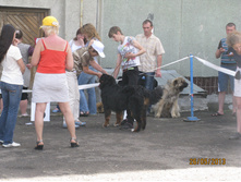 img1012.JPG