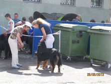 img1003.JPG