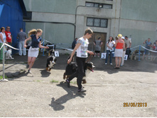 img1005.JPG