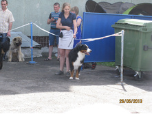img1011.JPG