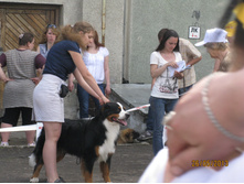 img1023.JPG