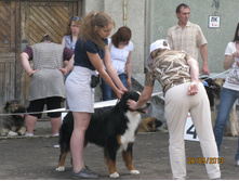 img1024.JPG