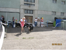 img1072.JPG