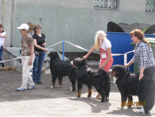 img1056.JPG