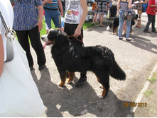 img0973.JPG