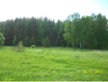 100_5795.JPG