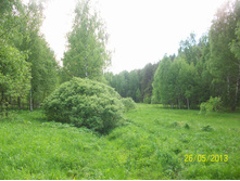 100_5797.JPG