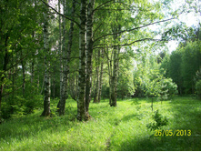 100_5802.JPG