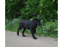 DSC_3566.JPG