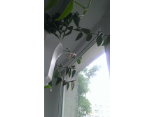 29.05.2013 15:52:59