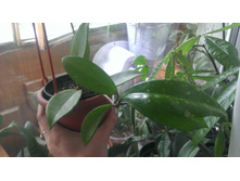 2013-05-29 15.48.33.jpg
