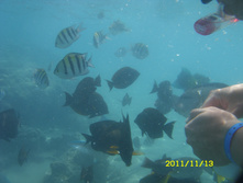 SN850166.JPG