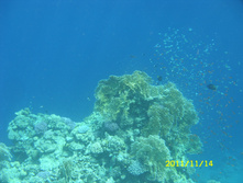 SN850261.JPG