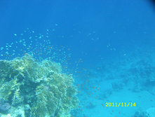 SN850262.JPG