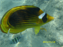 SN850355.JPG