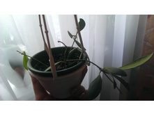 2013-05-30 08.37.23.jpg