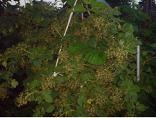 DSC00141.JPG