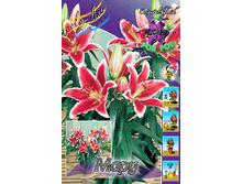 Lilium Maru 121,6�. �� 5��.jpg