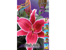 Lilium Red Eyes 247,4�. �� 10��.jpg