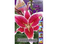 Lilium Starfighter 153,1�. �� 10��.jpg