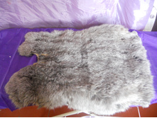 DSCN2978.JPG