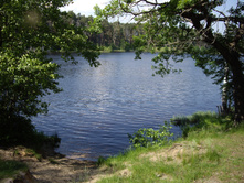 IMGP0041.JPG