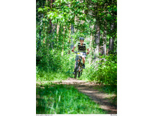 _DSC1306.jpg
