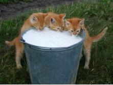 ��-��-��!