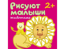 ������ ������ �������� 2+ ���� 49,5�
